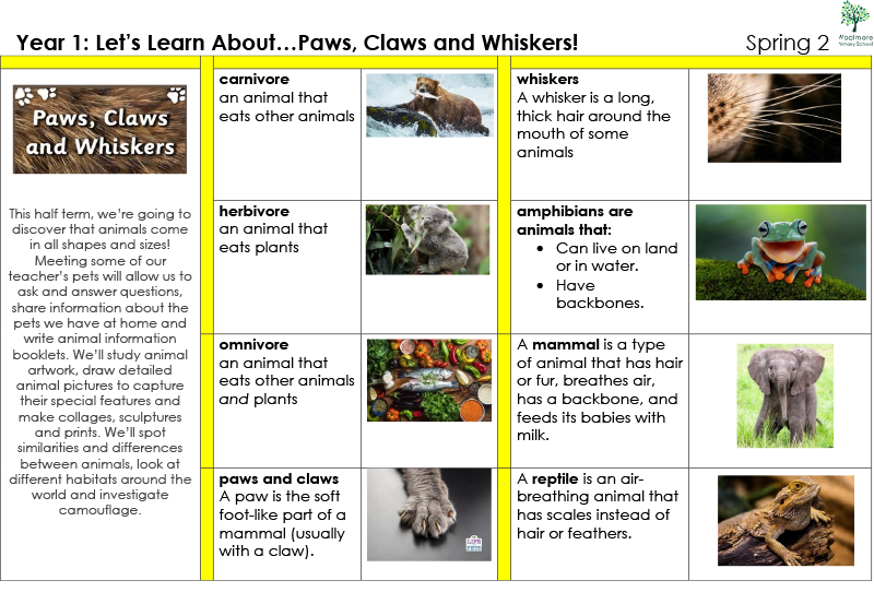 Y1 Paws, Claws and Whiskers-1